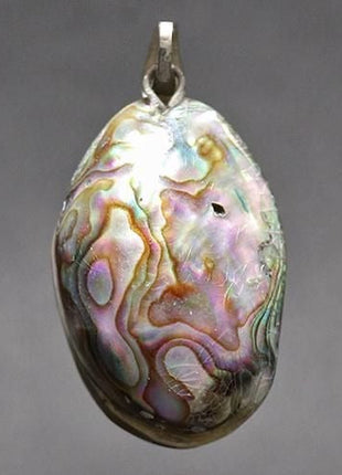 【アクセサリー】アワビ（アバロン）ペンダントトップ B